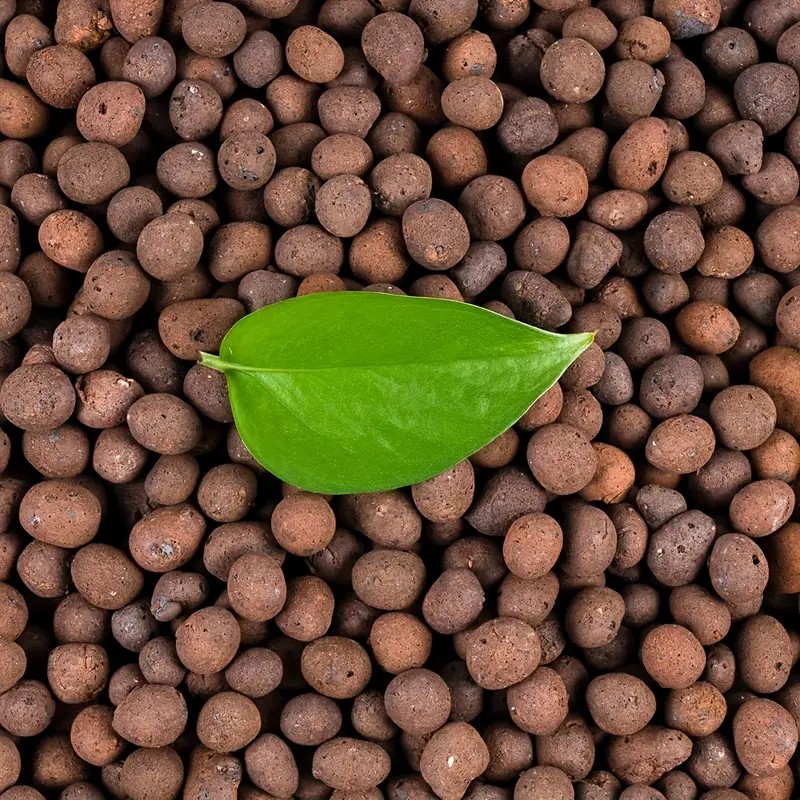 1LB Herbruikbare Hydrocultuur  - Clay Pebble Growing recensie en prijs