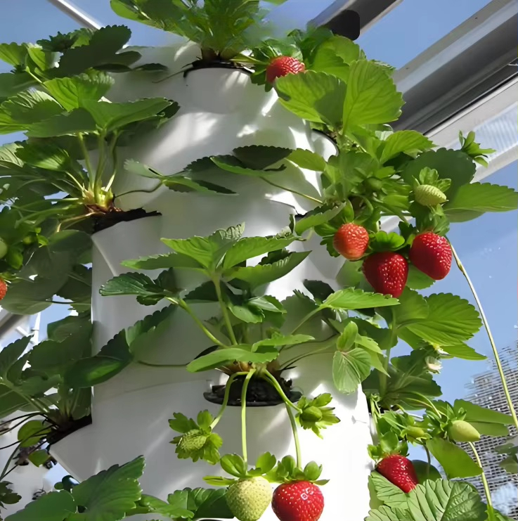 Modulair hydroponisch groeisys - Urban Farming Garden recensie en prijs