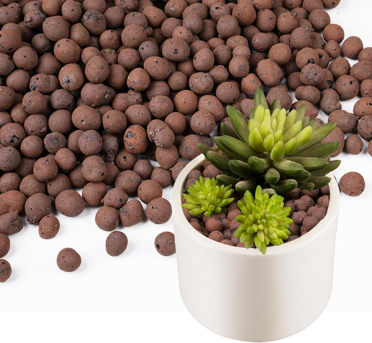 100/200G Kleikiezels voor plan - Clay Pebble Growing recensie en prijs