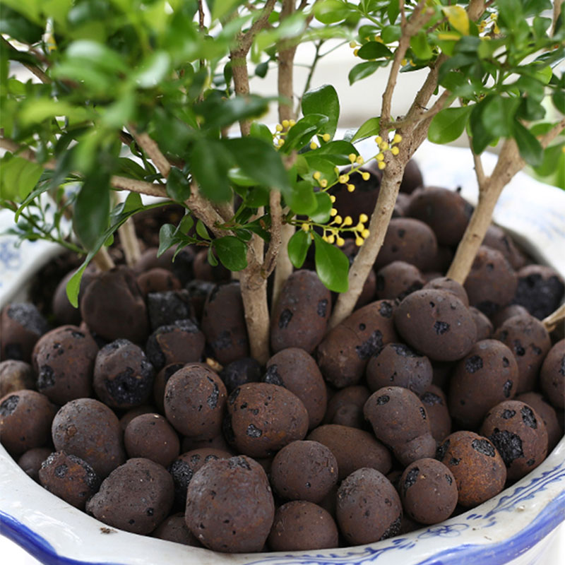 500G Organic Light Ceramsite K - Clay Pebble Growing recensie en prijs